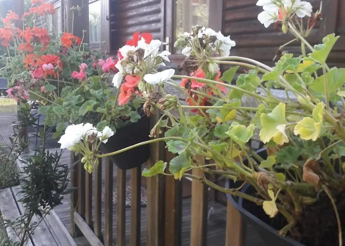 Le De Ben Chalet Vauville